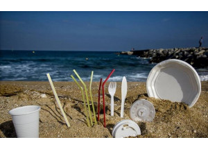 La Eurocámara aprueba prohibir los platos, cubiertos y pajitas de plástico a partir de 2021