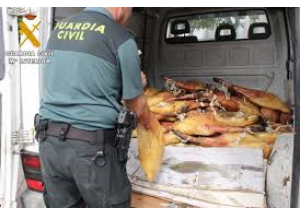 Dos detenidos tras estafar 980 euros a un vecino de lebrija al que mandaron jamones en mal estado