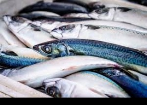 Récord mundial de consumo de pescado