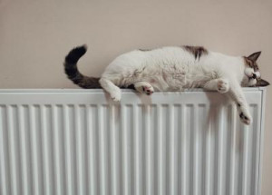Purgar els radiadors és clau per a millorar el rendiment de la calefacció i reduir el consum d'energia