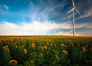 Energías renovables: Subvenciones autonómicas